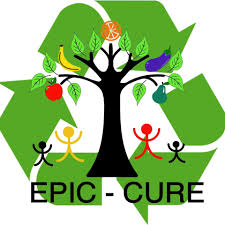 Epic-Cure logo